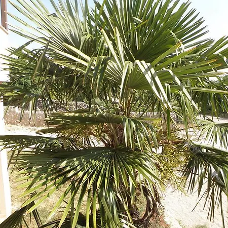 Apartment Sunset Krk Linardici